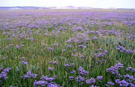 April 2018: It's Time To Be Hard As Steel, and Soft As Silk April 2018: It's Time To Be Hard As Steel, and Soft As Silk